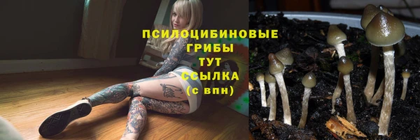 ГАЛЛЮЦИНОГЕННЫЕ ГРИБЫ Баксан