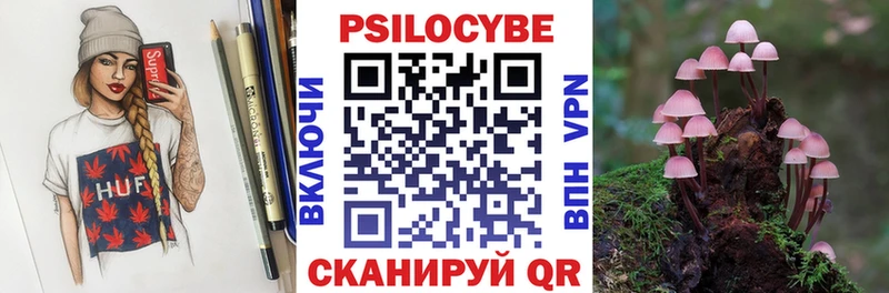 Псилоцибиновые грибы Cubensis  Сосновка 